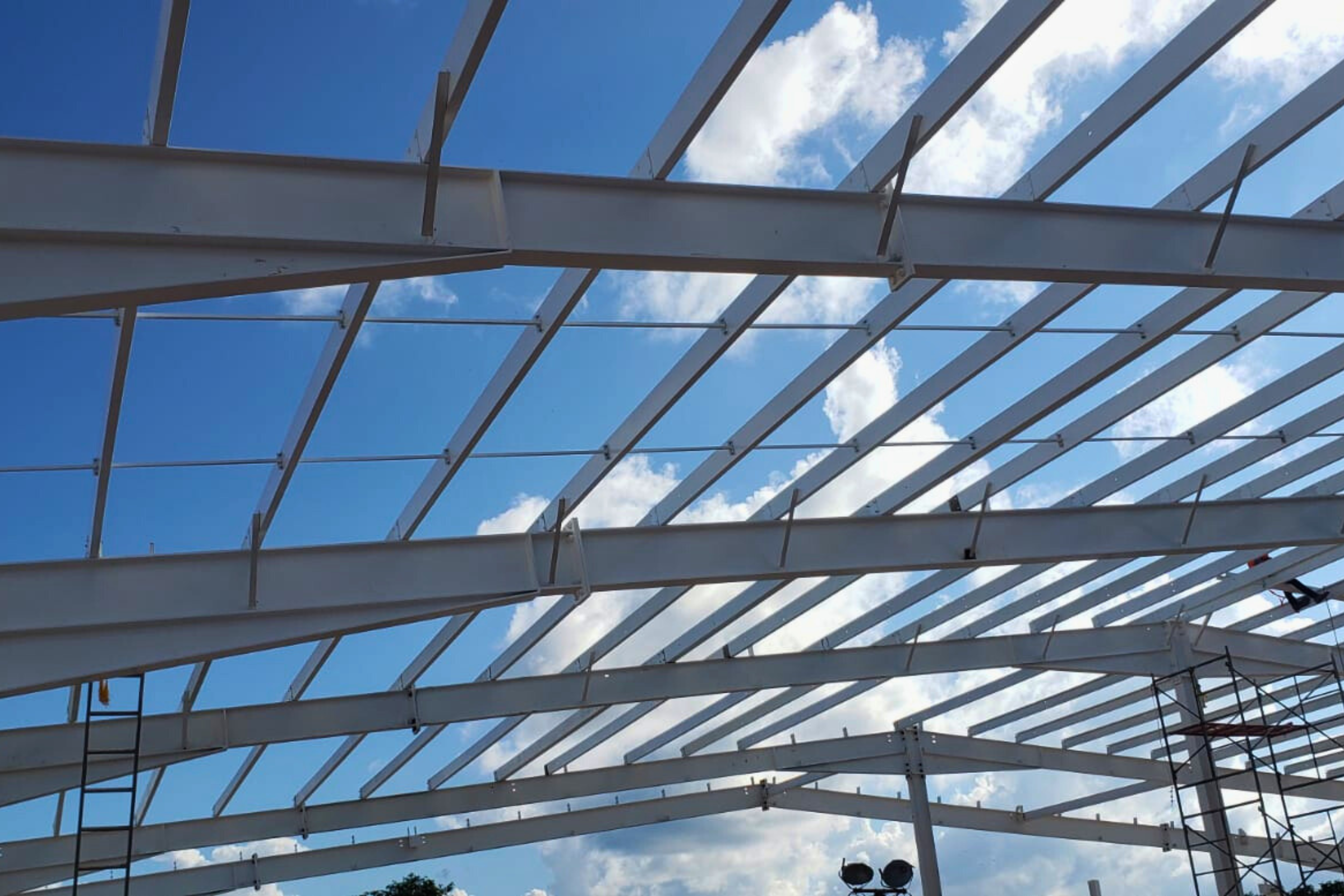 Diseño sin título (41)